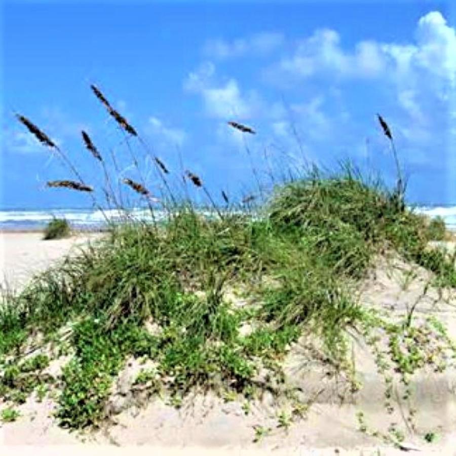 Village By The Gulf 굴프 쇼어스 외부 사진